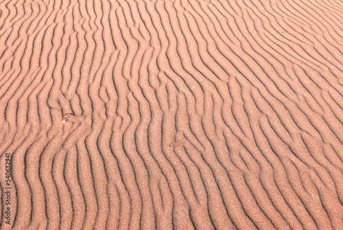 wavy pattern in sand due to the wind 