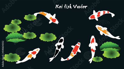 Koi carps in water, among graphic lotuses on a dark blue, background. Repeating square design for fabric and wallpaper. Vector illustration.Koi Fish Painting.