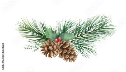 Watercolor vector Christmas arrangement with cones and pine branch.