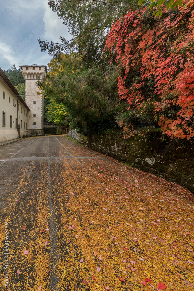 Road covered in leaves with autumn colors at the Vallombrosa Abbey, Reggello, Florence, Italy