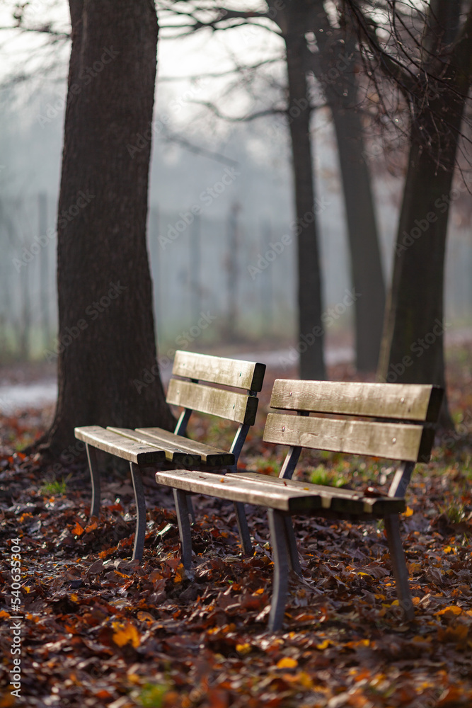 Empty benches in a park on an autumn day.