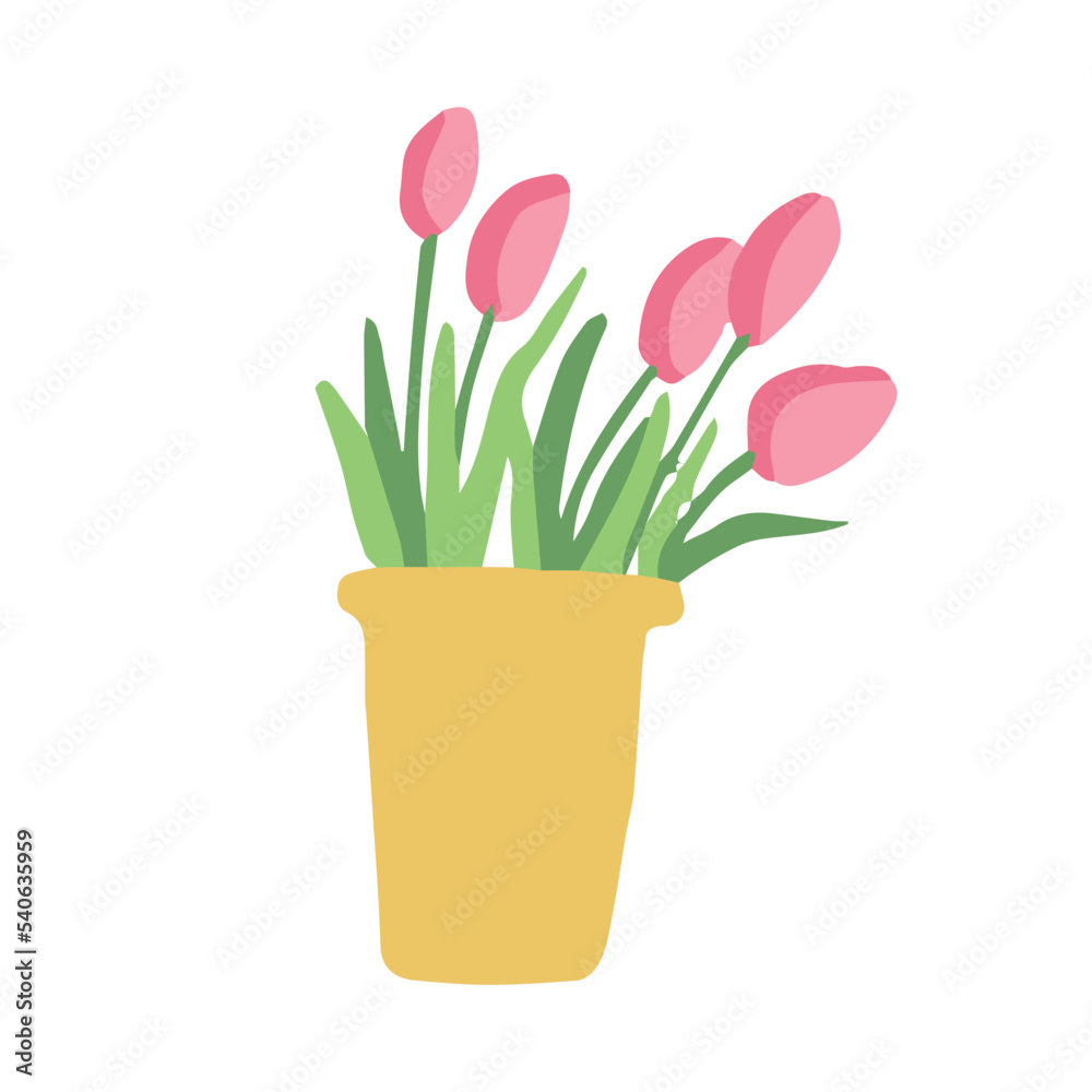 pink tulips in flower pot on the white background