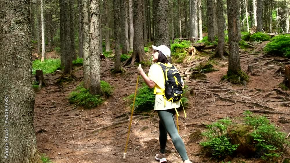 woman hiker walking by trail in mountain forest woman hiker walking by trail in mountain forest