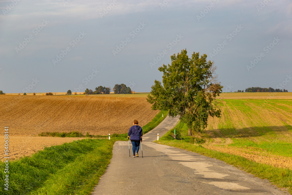 Plus size woman walking on the road. Nordic walking as healthy lifestyle and weight loss concept. Plus size woman walking on the road. Nordic walking as healthy lifestyle and weight loss concept.