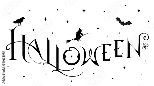 Halloween night. Lettering, typography. Illustration in black and white. In the sky, witch with her broom, spider and raven.