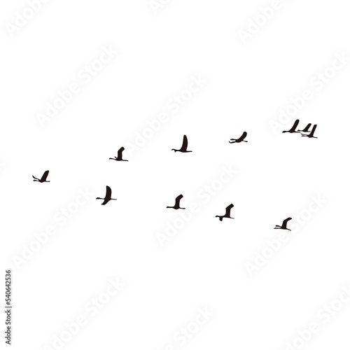 Flock of birds flying icon vector illustration design isolated © oleksandr_malysh