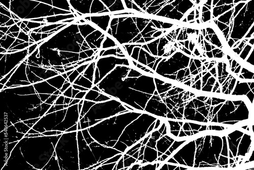 Black background with transparent empty silhouettes of tree branches