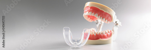 Human tooth model, teeth orthodontic dental model or human jaw, mouthpiece photo