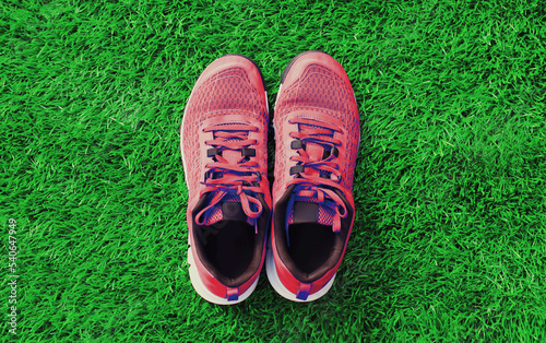 Close up summer sports sneakers on green grass background, top view