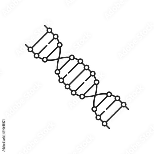 black thin line simple dna sequencing icon