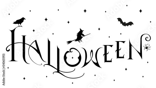 PNG file, the background is transparent.
Halloween night. Lettering, typography. Illustration in black. In the sky, witch with her broom, spider and raven.