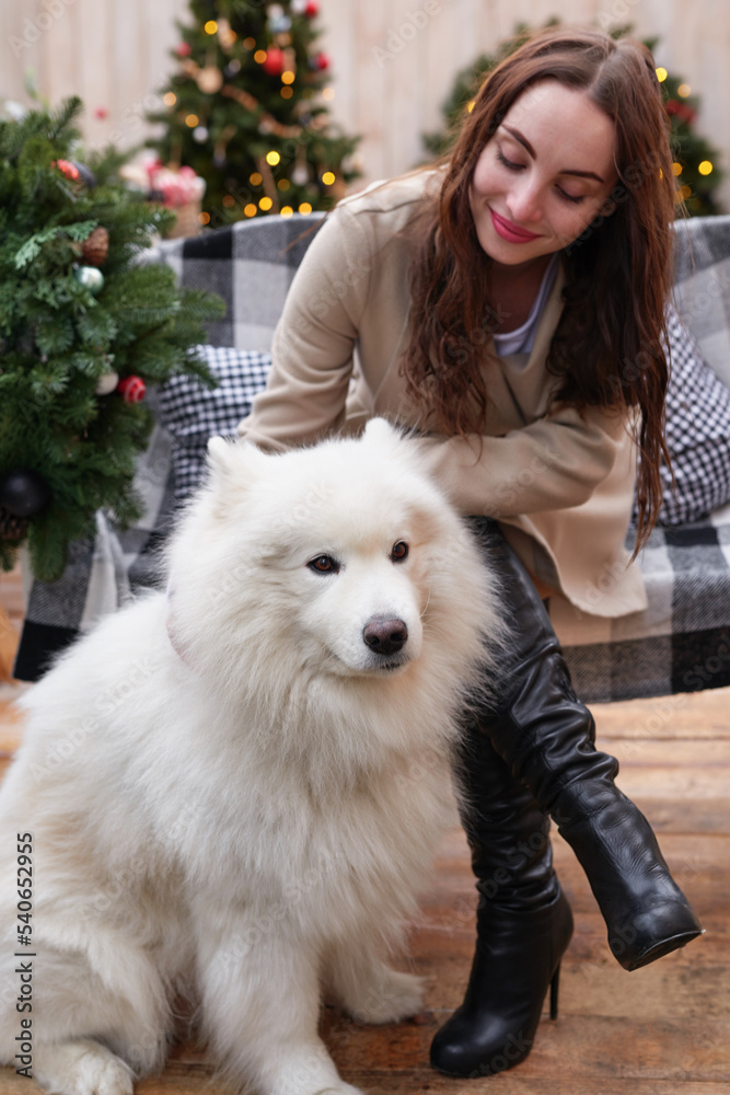 Young woman on background of Christmas tree with white samoyed dog outdoors. Yard decoration for New Year Young woman on background of Christmas tree with white samoyed dog outdoors. Yard decoration for New Year