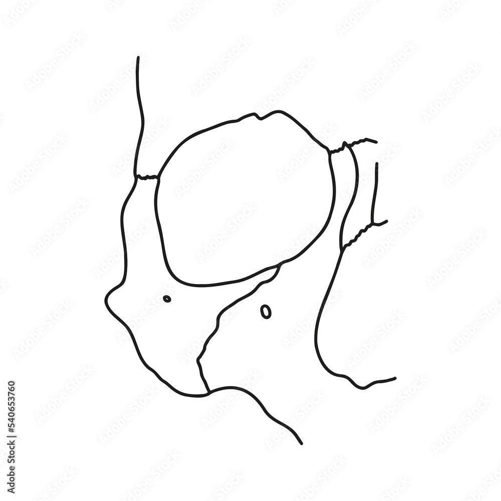 Human eye socket, front view. Outline, anatomical, hand drawn ...