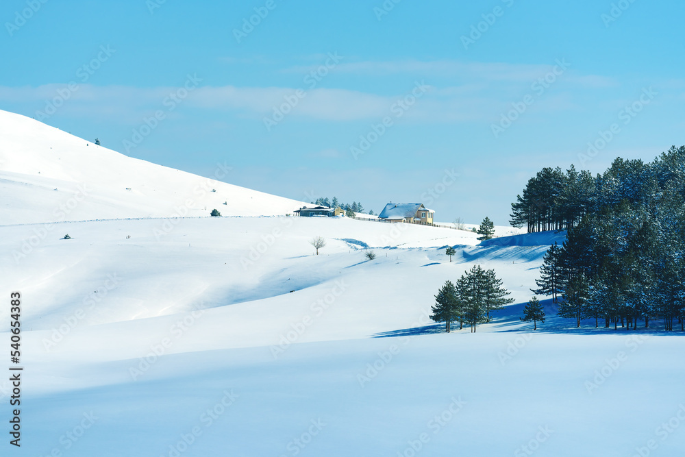 Idyllic Zlatibor landscape under snow in winter, house on the hill with pine woodland and clear blue sky in background