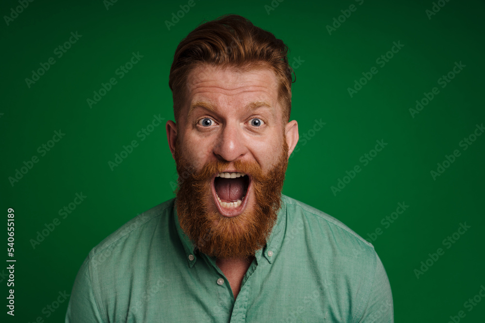 Portrait of adult handsome stylish bearded shouting man Portrait of adult handsome stylish bearded shouting man