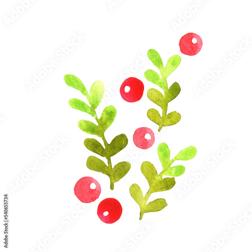 green leaves and wild berry bouquet watercolor for decoration on Christmas holiday events.
