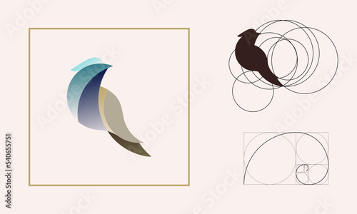 bird in golden ratio creative