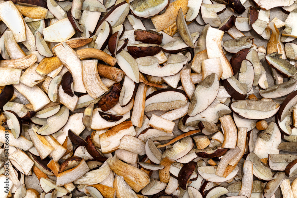 Background of sliced and raw edible mushrooms, lying on baking paper, top view. Background of sliced and raw edible mushrooms, lying on baking paper, top view.