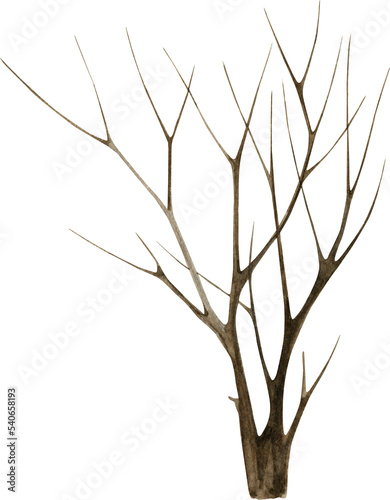 Watercolor tree silhouette isolated on white, tree without leaves