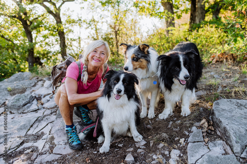 Senior woman having break during walking her three dogs in forest.