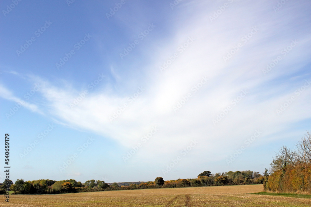 A sliver of treelined agricultural land with large blue sky and fine white cloud background for copy space
