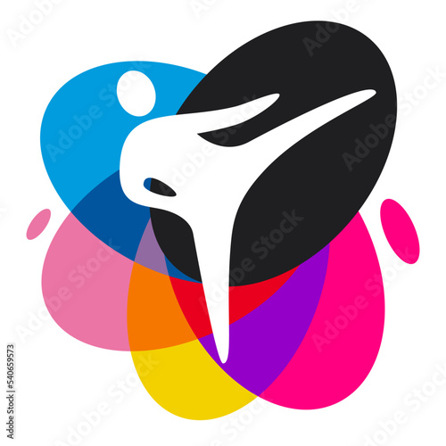 Martial art sport graphic with colorful design elements.