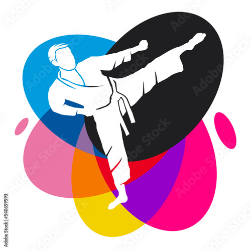 Martial art sport graphic with colorful design elements.