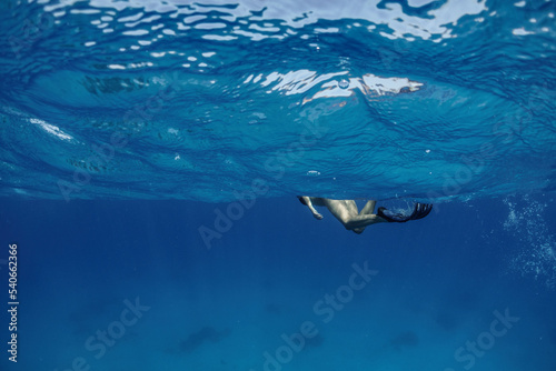 Female freediver in the ocean waves