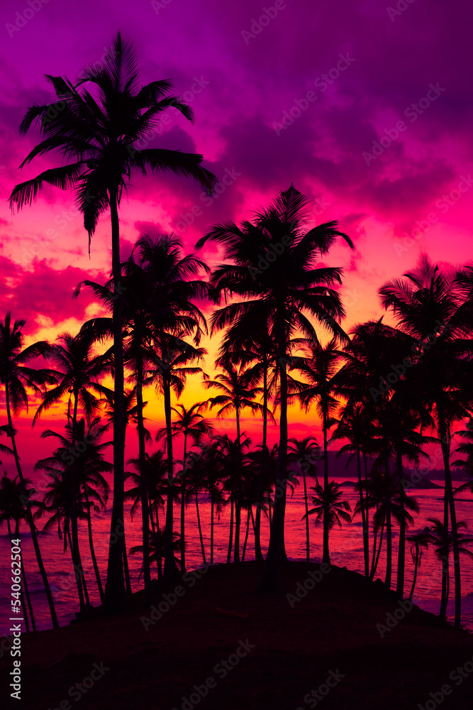 Obraz premium Coconut palm trees on tropical ocean island beach at vivid colorful sunset