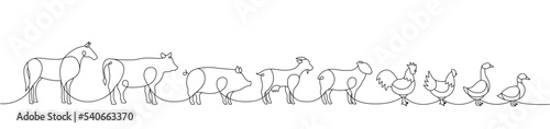 Set of Farm animal one line. Horse  Cow  Pig  Goat  Sheep  Chicken  Rooster  Duck  Goose silhouettes. Farm animals one line illustration.