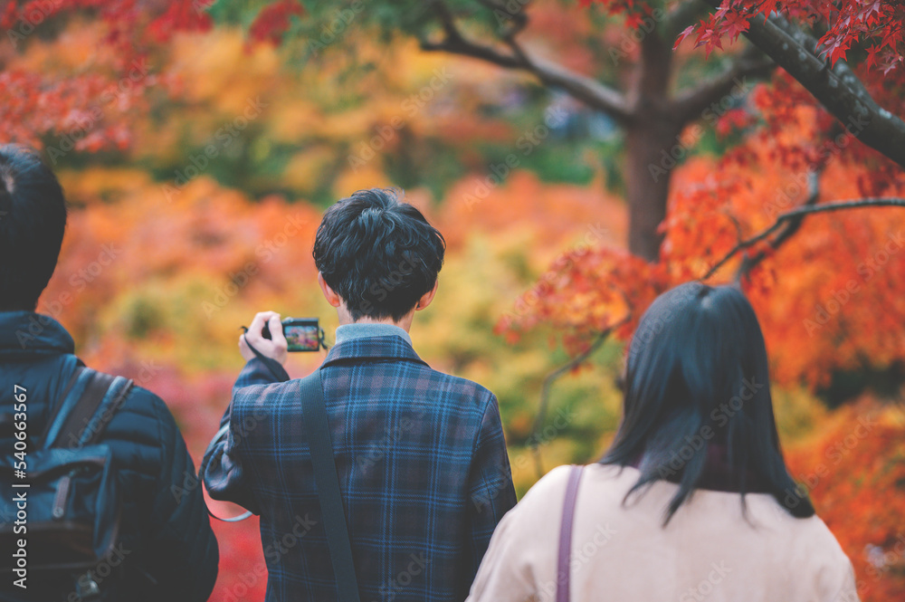 Young women wearing traditional Japanese Kimono and people with colorful maple trees in autumn is famous in autumn color leaves and cherry blossom in spring, Kyoto, Japan. Young women wearing traditional Japanese Kimono and people with colorful maple trees in autumn is famous in autumn color leaves and cherry blossom in spring, Kyoto, Japan.