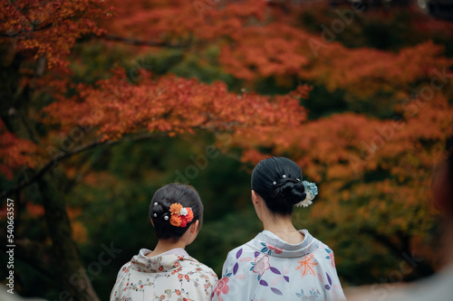 Young women wearing traditional Japanese Kimono and people with colorful maple trees in autumn is famous in autumn color leaves and cherry blossom in spring, Kyoto, Japan.
