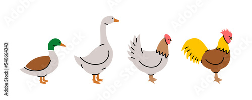 Set of farm birds. Chicken  Rooster  Duck  Goose silhouettes. Farm animals character set isolated on white background.
