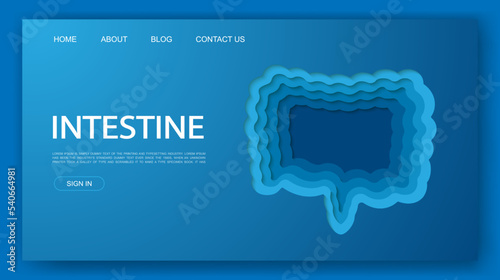 Intestine 3d paper cut website template. Small and large intestine paper cut out illustration. Organ anatomy symbol for landing page, advertising page