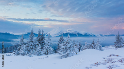 Incredible winter landscape with colorful sky. Frosty morning on the highland farm. Amazing sunrise in Carpathian mountains, Ukraine, Europe. Christmas holiday concept. Perfect winter wallpaper.