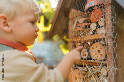 Little boy looking at insect hotel. Concept of home education, ecology gardening and sustainable lifestyle. © Halfpoint
