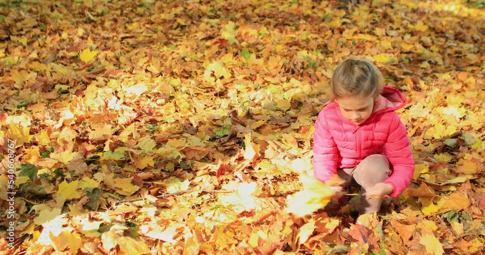 Brothers and sisters playing with maple leaves in autumn park Brothers and sisters playing with maple leaves in autumn park