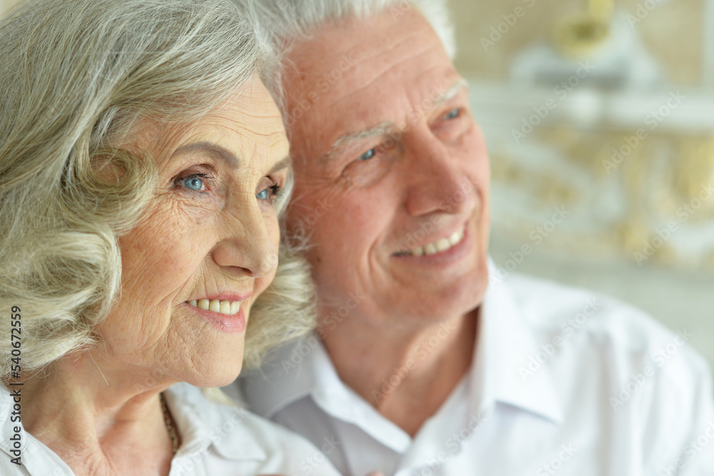 happy beautiful seniors couple posing at home happy beautiful seniors couple posing at home