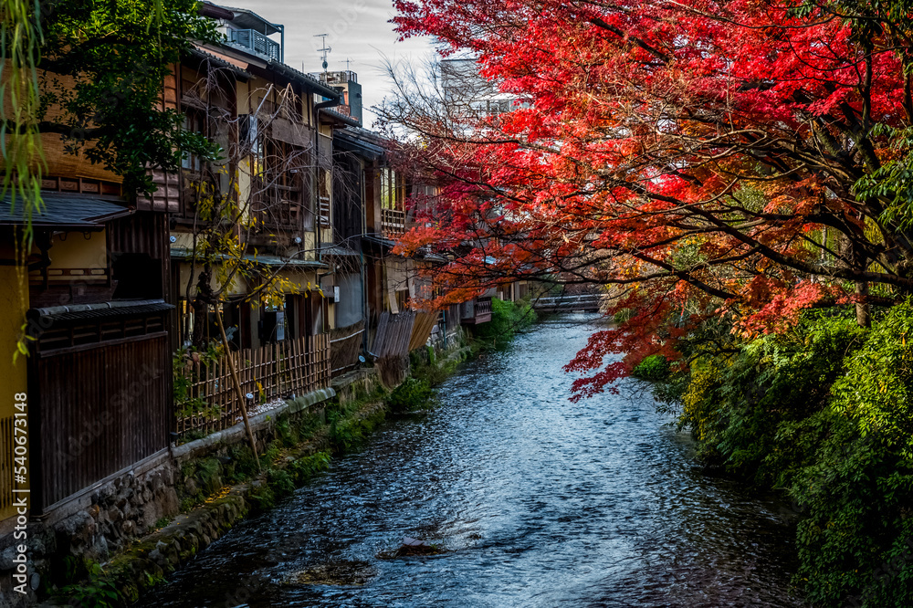 On the streets of Kyoto city in Japan