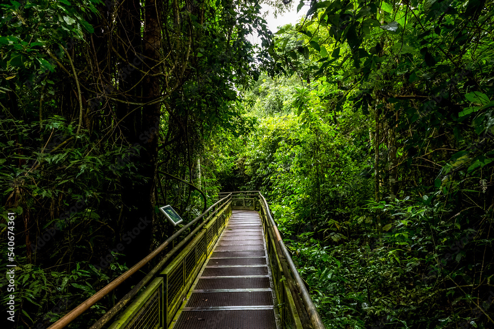 Nature of Iguazu waterfalls area on the border of Argentina Brazil and Paraguay Nature of Iguazu waterfalls area on the border of Argentina Brazil and Paraguay