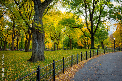Fall Path in the Park