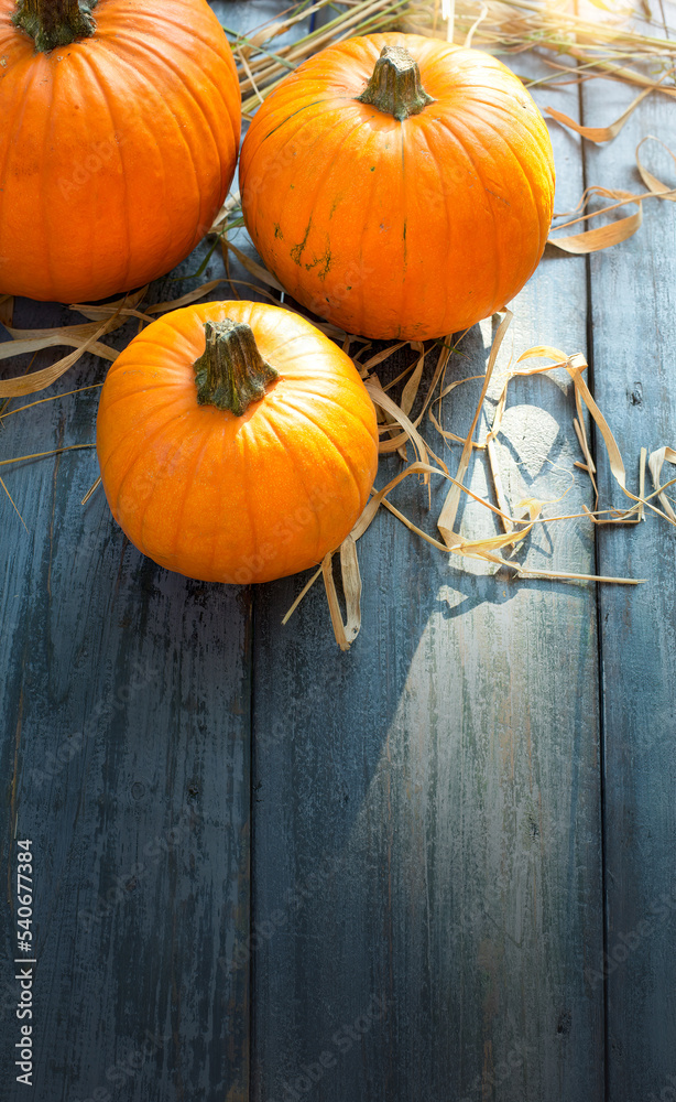 Autumn pumpkins on a wooden background as decorations for thanksgiving day; Thanksgiving banner with copy space;
