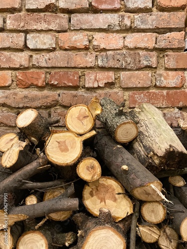 Wooden stack in the forest. Woods on the forest path with trees. Wooden pile. Closeup of woods. Wooden stack background.  