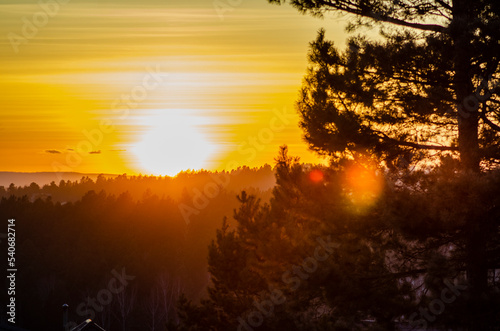 sunset in the forest © Данил Куницын