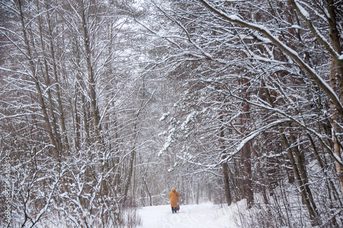 winter in the park