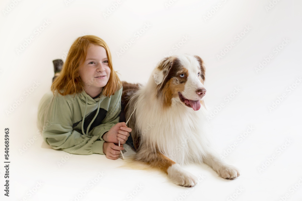 Redhead girl Teenager 11-12 years old and Australian Shepherd Dog, child in casual clothes and a purebred aussie dog.