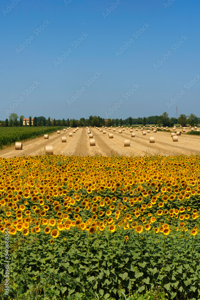 Country landscape in Polesine near Adria Country landscape in Polesine near Adria