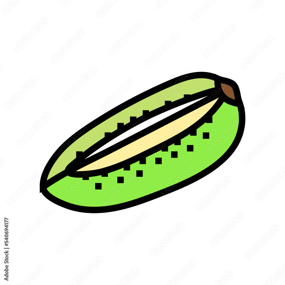 cut green kiwi color icon vector. cut green kiwi sign. isolated symbol illustration