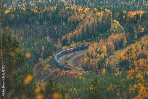 autumn forest, a train making its way through the forest