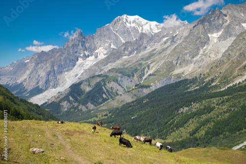 The Mont Blanc massif from the meadows of Val Ferret valley in Italy.
